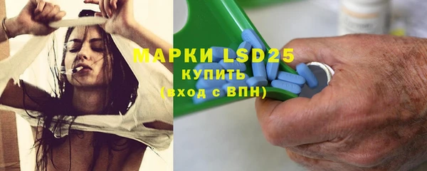 хмурый Алексин