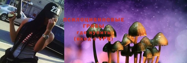 хмурый Алексин