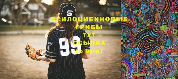 хмурый Алексин