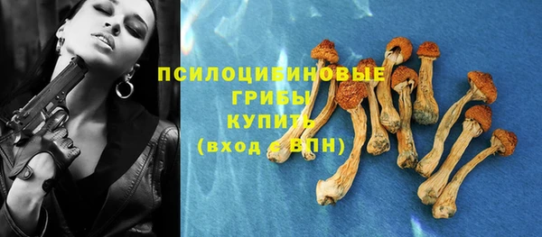 молекула духа Алзамай