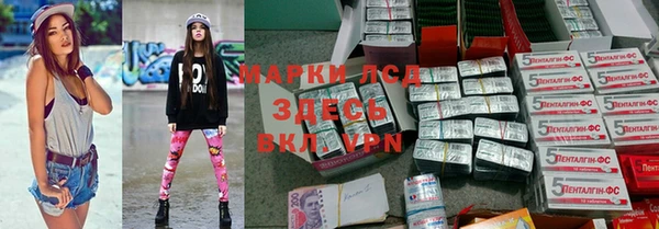 хмурый Алексин
