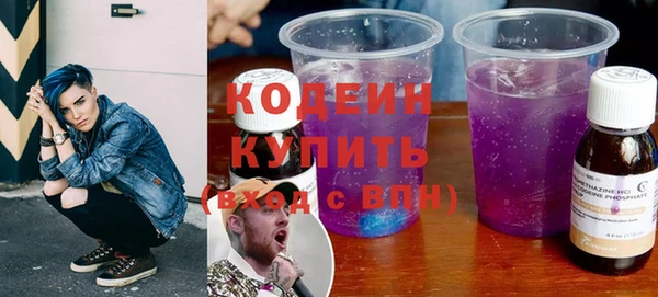 хмурый Алексин