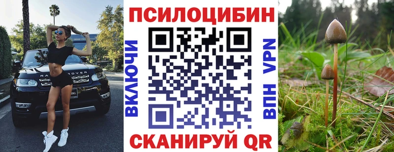 Галлюциногенные грибы Psilocybine cubensis Завитинск