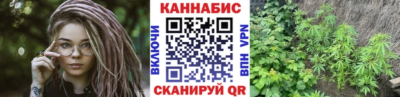 купить  сайты  Завитинск  МАРИХУАНА сатива 